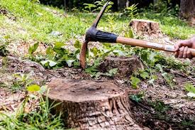 Stump Removal Company South Yorkshire